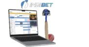IPL Betting App Real Money Tips: Indibet App Features & Indibet Login Process