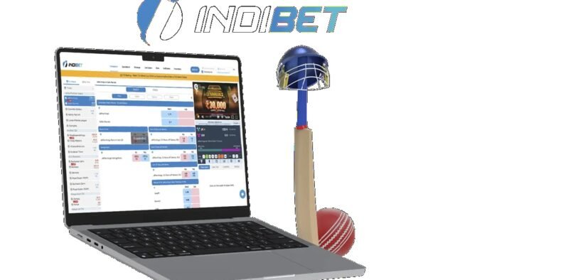 IPL Betting App Real Money Tips: Indibet App Features & Indibet Login Process